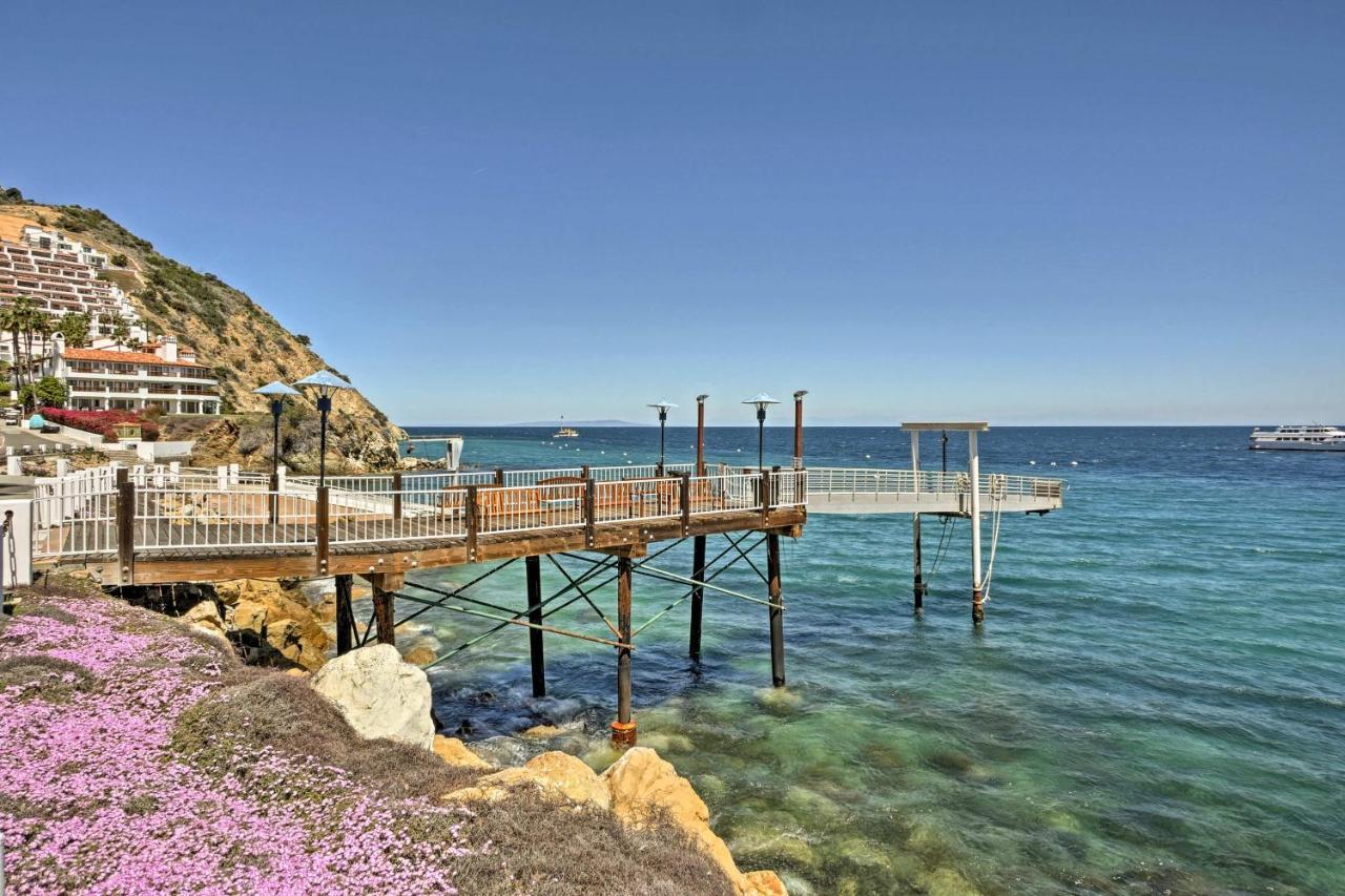 Apartment Gorgeous Catalina Island With Golf Cart! Avalon