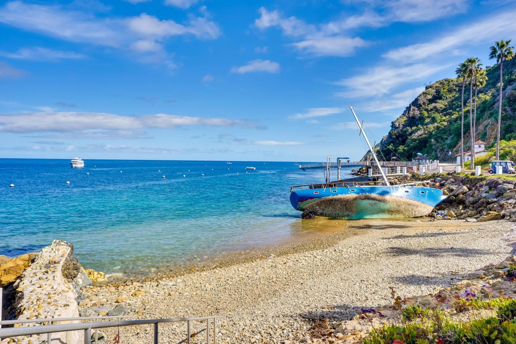 Apartment Gorgeous Catalina Island With Golf Cart! *